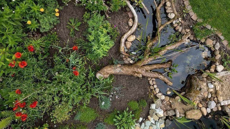 Ein von oben aufgenommenes Bild eines Gartens, darauf ein Beet und ein kleiner Teich, ein Steinhaufen und eine Sandfläche