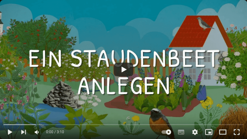 Platzhalterbild — Screenshot Video Staudenbeet