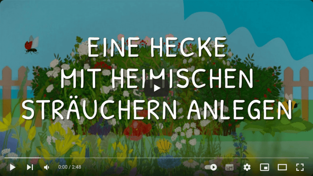 Platzhalterbild — Screenshot Video Anleitung Hecke anlegen