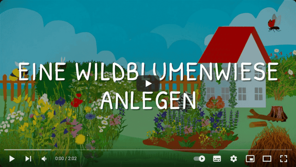 Platzhalterbild — Screenshot Video Anlegen einer Wildblumenwiese