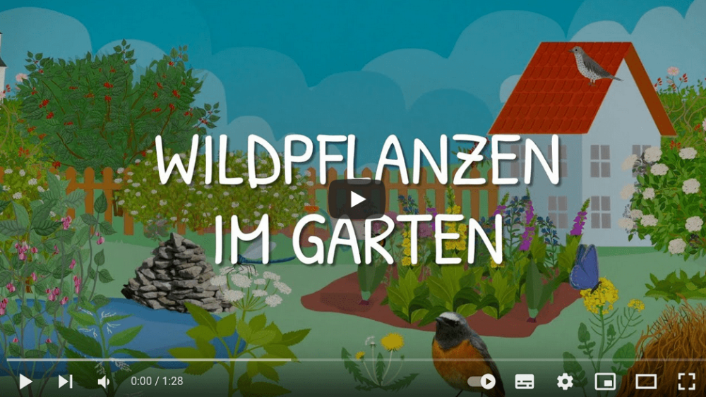 Platzhalterbild — Screenshot Video Wildpflanzen im Garten