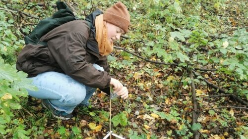 Parzellen zur Vegetationsbeobachtung im Rautal