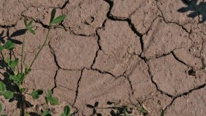 Cracks in Soil