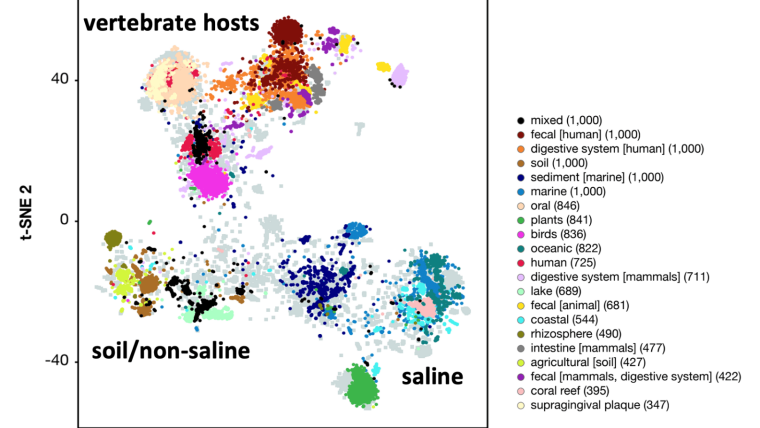 This figure shows the first “Map of the Microverse”, consisting of 22.5 thousand microbial datasets from 140 different types of environments. We identified generalist and specialist bacteria by analysing their distribution across these 22.5 thousand datasets.