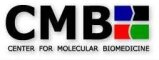 Center for Molecular Biomedicine
