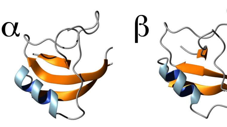 Skorpiontoxine