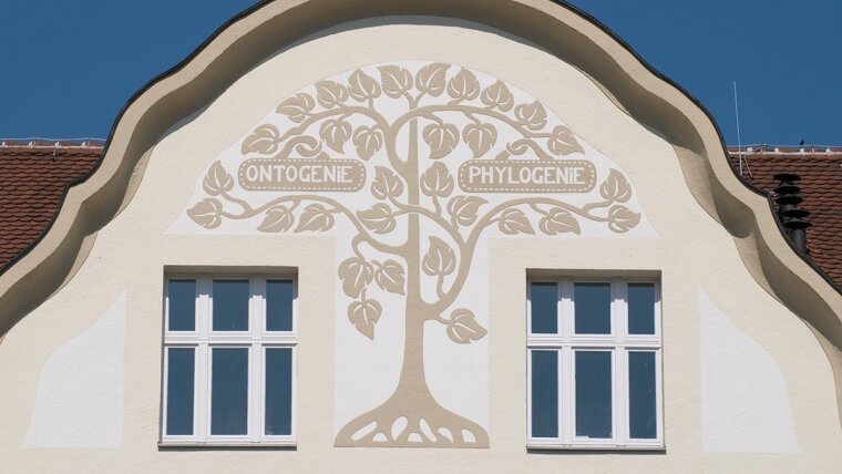 Fassade Phyletisches Museum