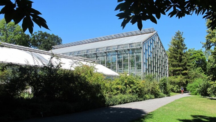 Botanischer Garten