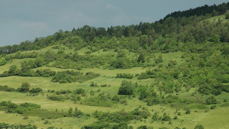 Leutra valley 2006