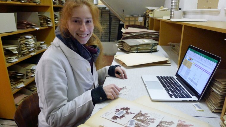 Johanna Weitzel bei der Aufnahme mariner Makroalgen-Belege in die Datenbank, März 2022.