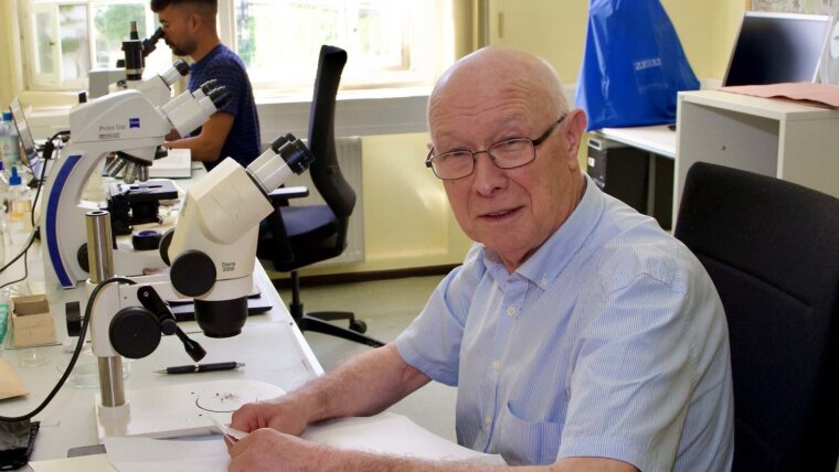 Prof. Dr. S. Robbert Gradstein bei der Untersuchung der Herbarbelege.