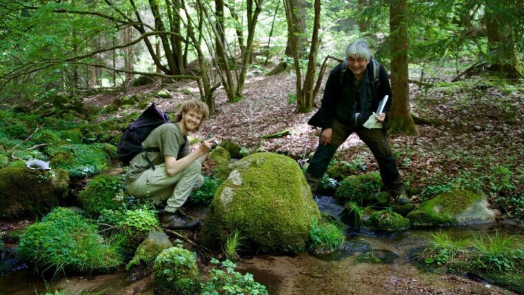 Exkursionsteilnehmer bei der Kartierung der Moosflora im Schweinaer Grund, Mai 2023.