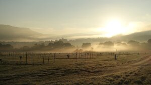 Sonnenaufgang